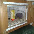 Business 4 image SMALL PET HOTEL Pet Services in Stoke-On-Trent St