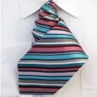 Business 8 image SOLENT CLEANERS LTD Dry Cleaners in FAREHAM Ha