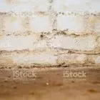 Business 1 image SOLUTIONS ON SITE (LONDON) LTD Wood Treatment & Preservation in London Gr