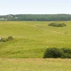 Business 10 image SORRELS CATERERS LIMITED Caterers in WIMBORNE Do