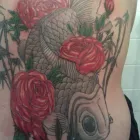 Business 7 image SOS DRAINAGE SERVICES Drainage Consultants in Solihull We