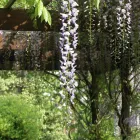 Business 5 image SOUTH EAST FENCING Fencing Services in Tonbridge Ke