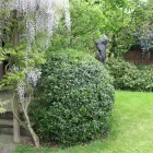 Business 2 image SOUTH EAST FENCING Fencing Services in Tonbridge Ke