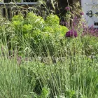 Business 4 image SOUTH EAST FENCING Fencing Services in Tonbridge Ke