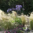 Business 1 image SOUTH EAST FENCING Fencing Services in Tonbridge Ke