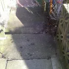 Business 3 image SOUTH YORKSHIRE TREE SERVICES LTD Tree Surgeons in Rotherham So