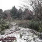 Business 12 image SOWOOD LAND MANAGEMENT Tree Services in Halifax We