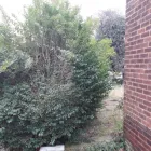 Business 15 image SOWOOD LAND MANAGEMENT Tree Services in Halifax We