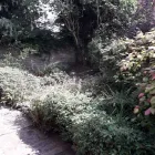 Business 42 image SOWOOD LAND MANAGEMENT Tree Services in Halifax We