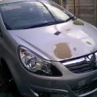 Business 4 image SPECIALIST RECRUITMENT SERVICES UK LTD Recruitment Consultants in Rugby Wa