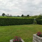 Business 1 image SPEIRS LANDSCAPES Turf Suppliers in Magherafelt Co