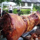 Business 1 image SPITTING PIG HAMPSHIRE Caterers in PORTSMOUTH Ha