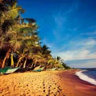 Business 3 image STA TRAVEL Travel Agents in Chester Ch