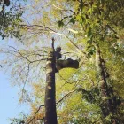 Business 2 image STANDING TREE CARE Real Estate Services in Alton Ha