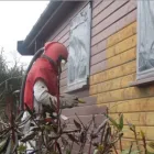 Business 12 image STEVEN LOVELESS Painters & Decorators in Fordingbridge Ha