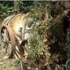 Business 3 image STONE & SEDGBEER Plumbers in Tiverton De