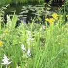 Business 3 image STONELEIGH HOLIDAY FLATS Self Catering Holiday Accommodation in Lytham St. Annes La