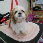 Business 6 image STUART THE JOINER Carpenters & Joiners in Glasgow La