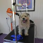 Business 7 image STUART THE JOINER Carpenters & Joiners in Glasgow La