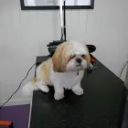 Business 8 image STUART THE JOINER Carpenters & Joiners in Glasgow La