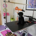 Business 10 image STUART THE JOINER Carpenters & Joiners in Glasgow La