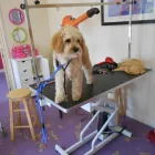 Business 4 image STUART THE JOINER Carpenters & Joiners in Glasgow La