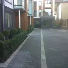 Business 13 image SUE RYDER CARE Charity Shops in Wallington Su