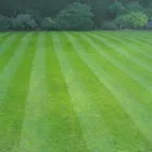 Business 14 image SUE RYDER CARE Charity Shops in Wallington Su