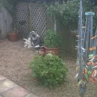 Business 16 image SUE RYDER CARE Charity Shops in Wallington Su