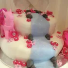 Business 6 image SWANS TRAVEL LTD Coach Hire in Oldham La