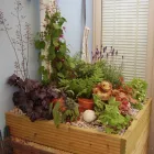 Business 5 image SWINDON PLUS1 DRIVING SCHOOL Driving Schools in Swindon Wi