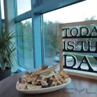 Business 11 image SYNERGY CAR LEASING Vehicle Leasing Services in Harrogate No