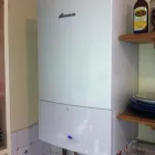 Business 1 image T GUNNING & SONS Garage Services in WISHAW La