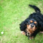 Business 24 image T WORLD STUDIO Portrait Artists in Weeford St