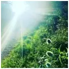 Business 34 image TAILS & TOE BEANS LTD Pets & Animals in Rayleigh Es