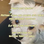 Business 56 image TAILS & TOE BEANS LTD Pets & Animals in Rayleigh Es