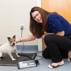 Business 5 image TAMESIDE VETERINARY CLINIC, ASHTON-UNDER-LYNE Veterinary Services in Ashton-Under-Lyne La