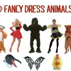 Business 6 image TAMMY Ladies Clothes Shops in Woking Su