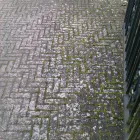 Business 7 image TARA ASIAN TAKE AWAY Takeaway Food in Burnley La