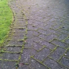 Business 10 image TARA ASIAN TAKE AWAY Takeaway Food in Burnley La