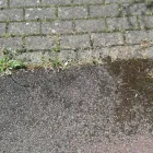 Business 4 image TARA ASIAN TAKE AWAY Takeaway Food in Burnley La