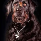 Business 13 image TESCO EXPRESS Grocers & Convenience Stores in Worthing We