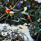 Business 1 image TESCO EXPRESS Grocers & Convenience Stores in Worthing We