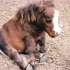 Business 1 image TESCO EXTRA Supermarkets in Sutton Coldfield We