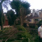 Business 21 image TG2A IOW Used Car Dealers in Newport Is