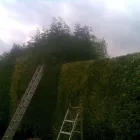 Business 6 image TG2A IOW Used Car Dealers in Newport Is