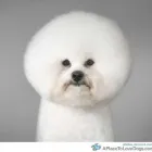 Business 1 image THATCHER Thatching Services in Newbury Be