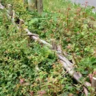 Business 2 image THE BECKETTS BANK Pub Restaurants in Leeds We