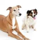 Business 2 image THE BOILER WORKS Photography Studios & Labs in Stoke-On-Trent Sts