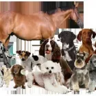 Business 1 image THE CO-OPERATIVE FOOD Grocers & Convenience Stores in Aberdeen Ab